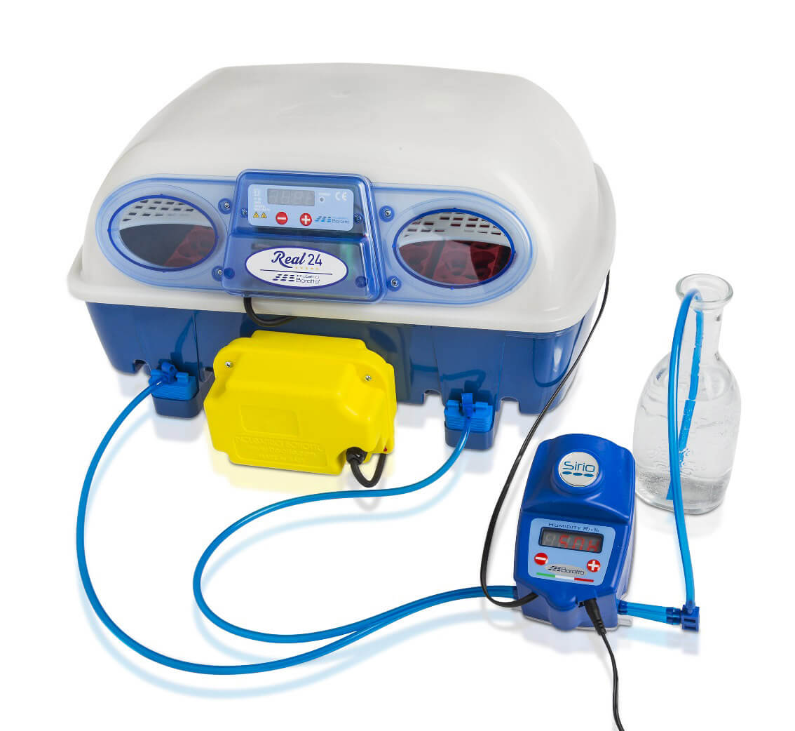 Incubatrice per Uova e Umidificatore Automatico Borotto Real 24 Expert