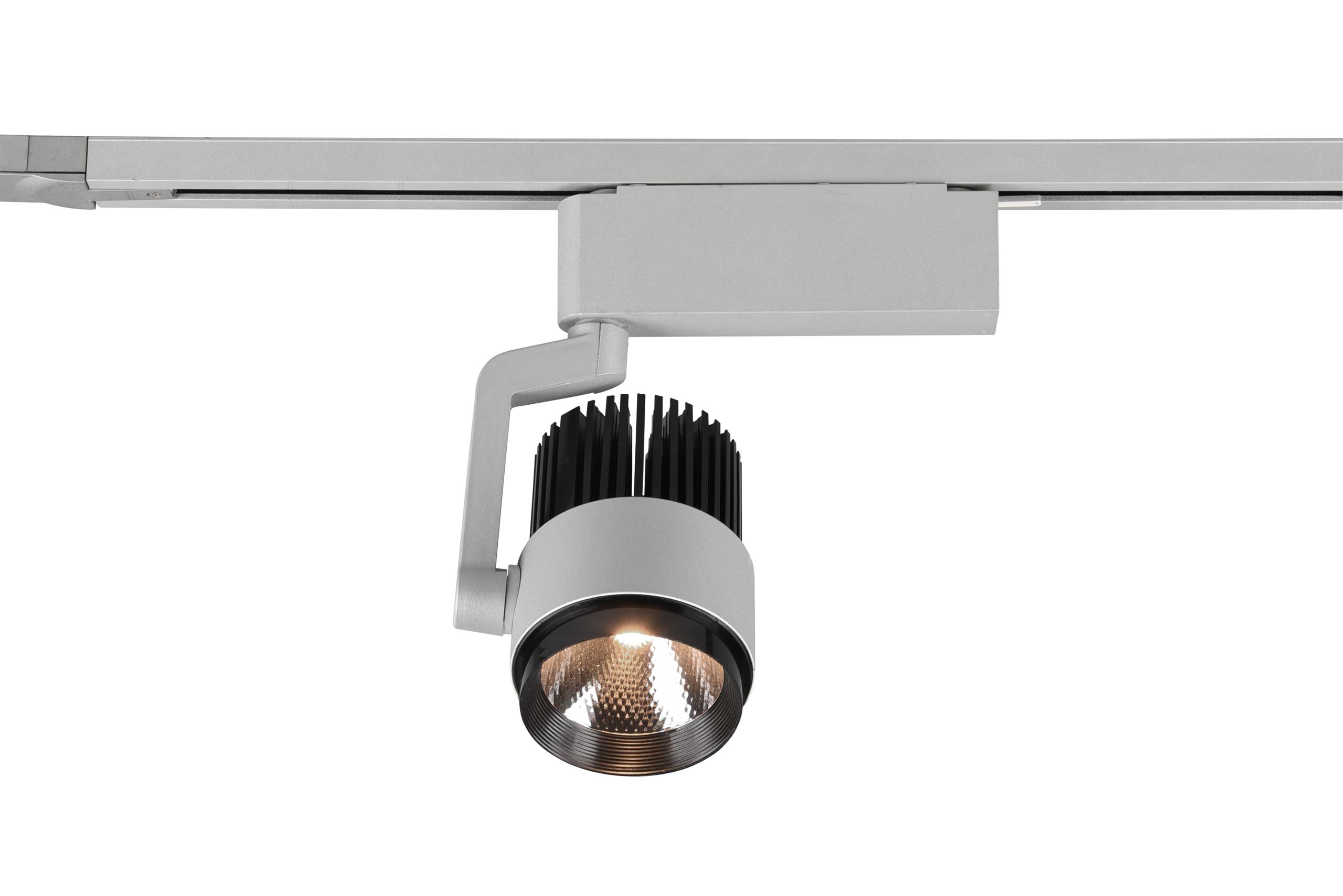 Faretto da Interno a led in Metallo Titanio...