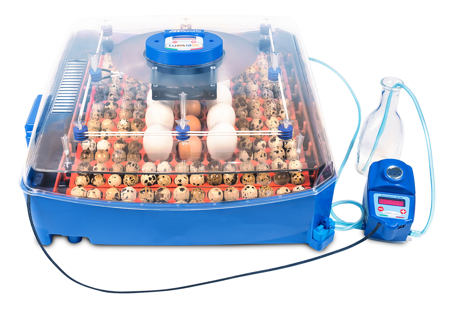 Incubatrice per Uova Professionale Borotto Lumia 56 Expert