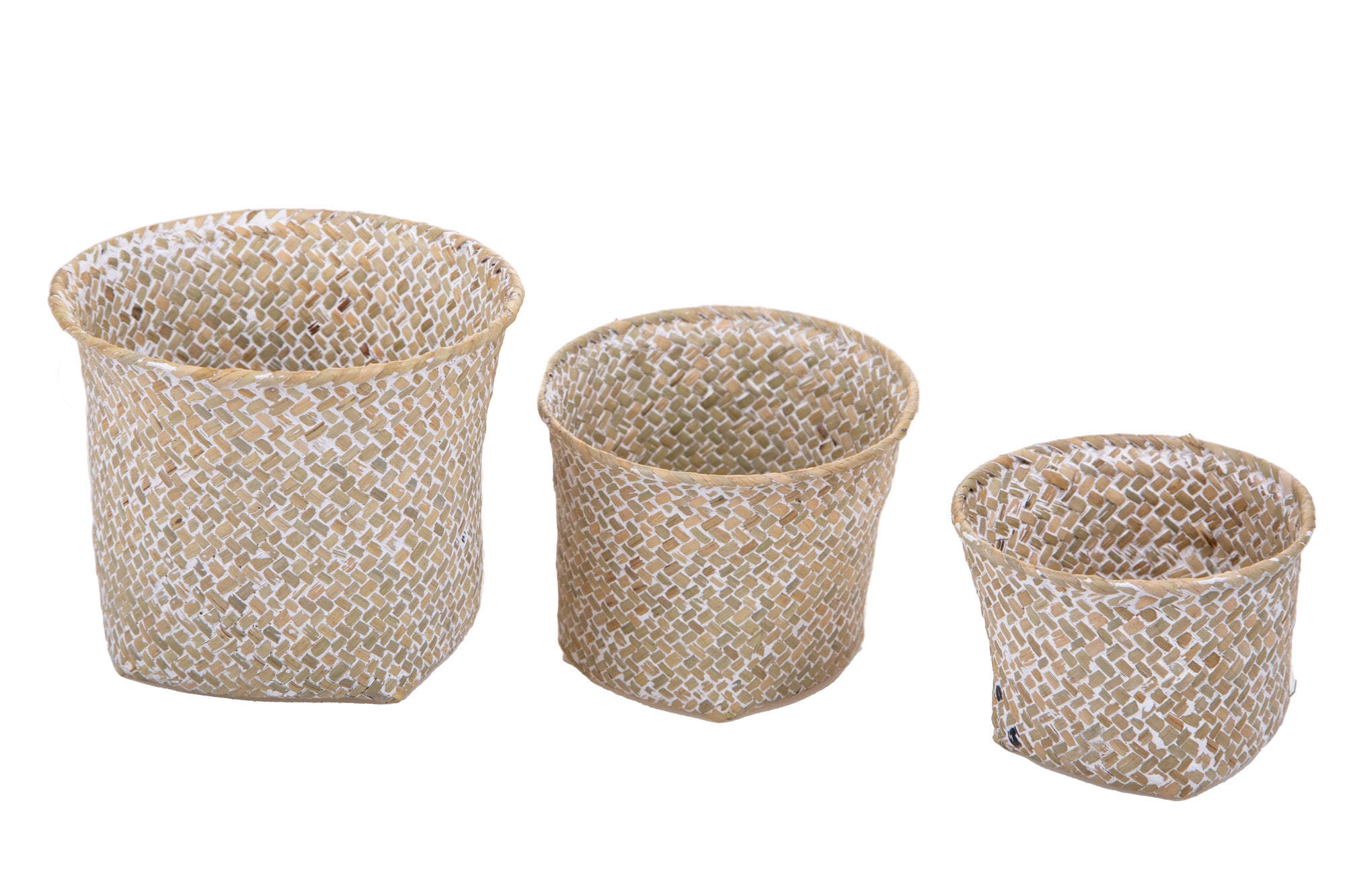 Set 6 Cesti 33C32 cm...