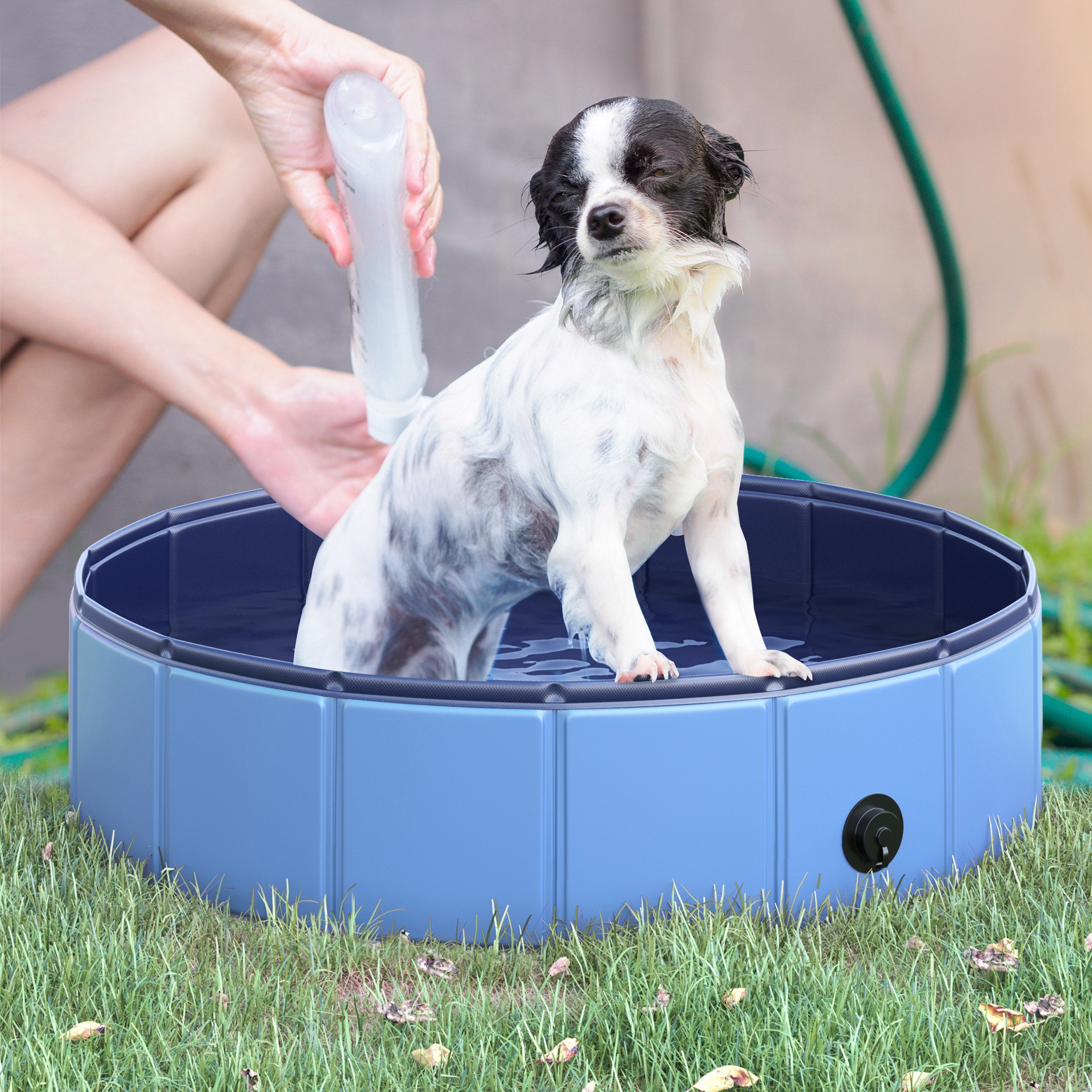 Piscina Pieghevole per Cani in PVC Blu Ø80x20 cm...