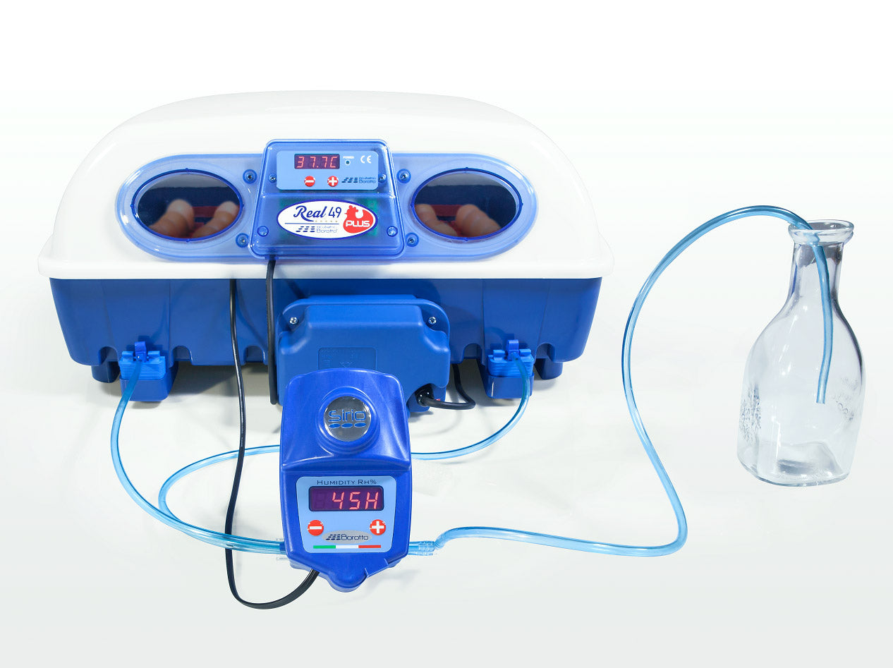 Incubatrice per Uova e Umidificatore Borotto Real 49 Plus Expert