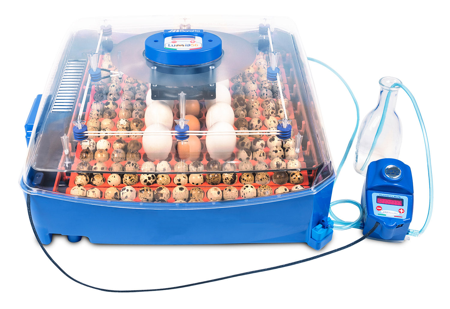 Incubatrice per Uova Professionale Borotto Lumia 56 Expert...