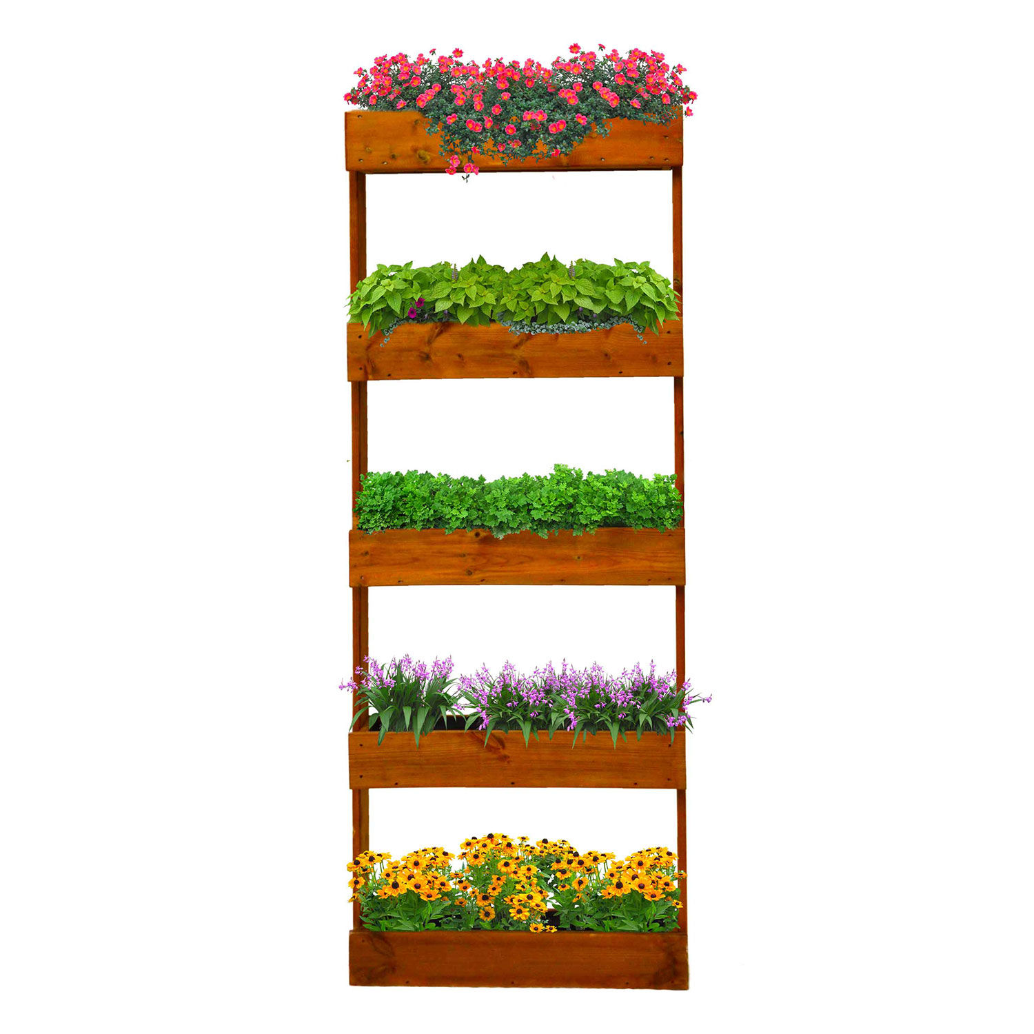 Orto Verticale Dritto 5 Livelli 71x16,5x164 cm Ortolegno Balcony in Legno di Pino color Castagno...