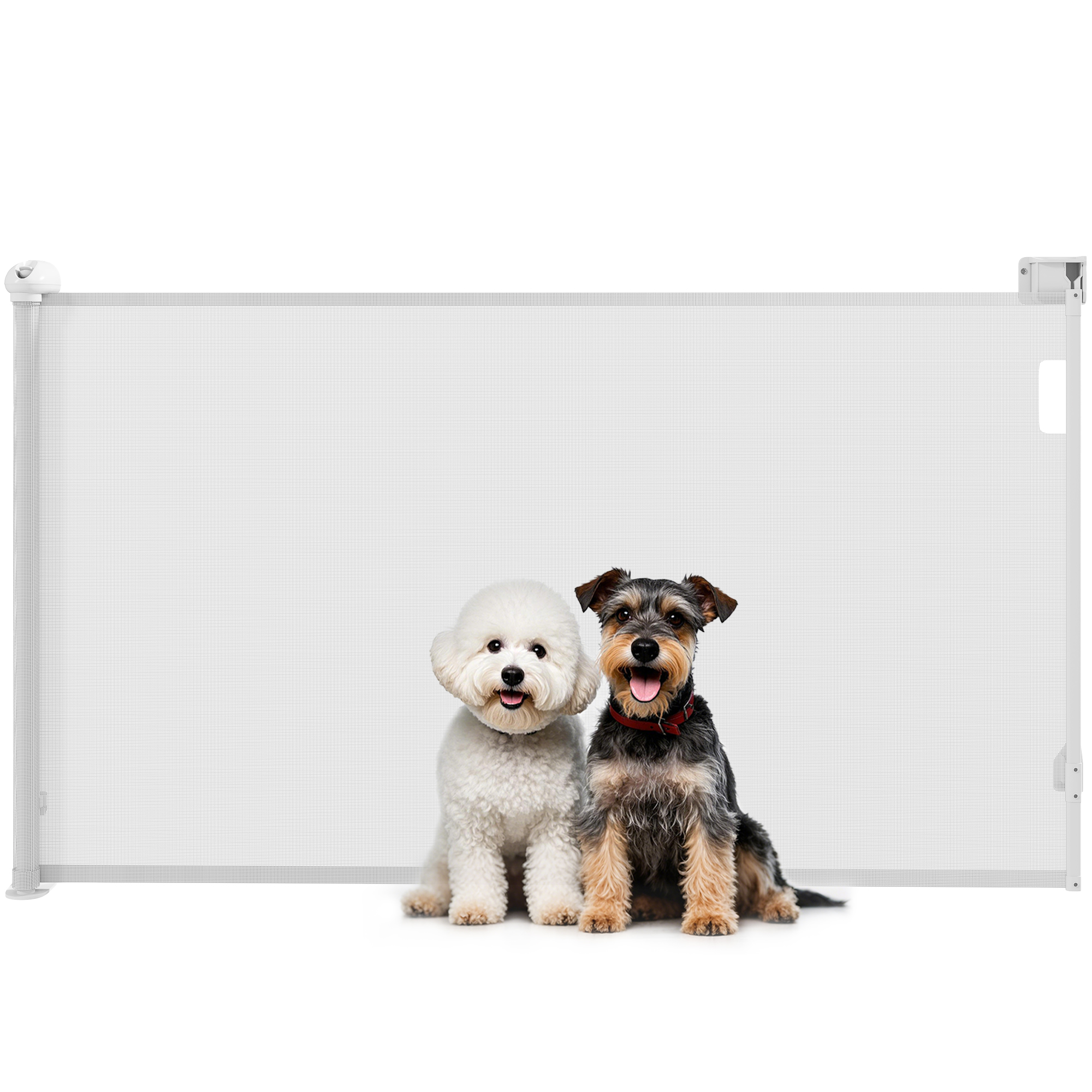 Cancellino per Cani Regolabile per Cani Piccoli Estensibile e Retrattile 0-144 cm Bianco