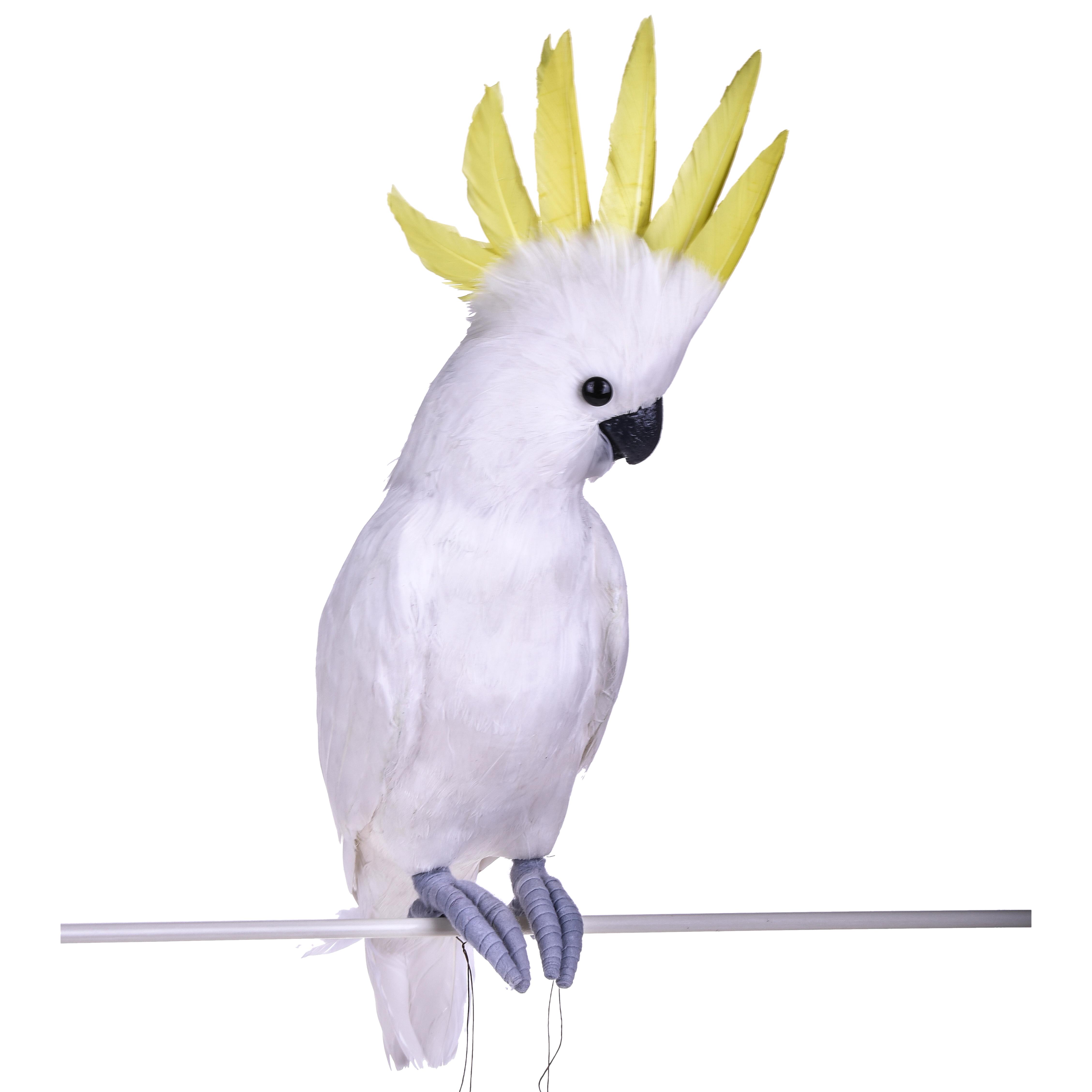 Pappagallo Cacatua H 54 cm