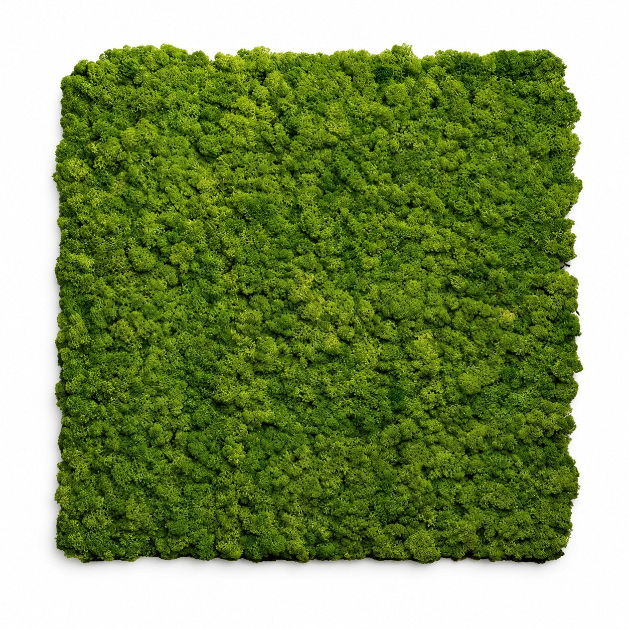 Set 2 pezzi Pannello Decorativo Fonoassorbente 60x60 Effetto Muschio Erba Sintetica Verde...