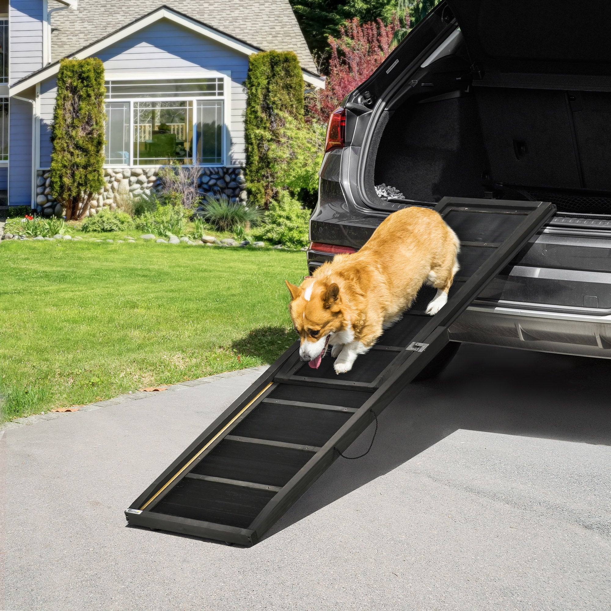 Rampa per Cani per Bagagliaio Auto 43x165x6,5 cm in Legno Nero...