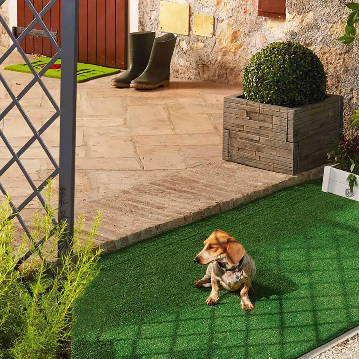 Prato Sintetico Verdemax Gold Light Altezza 8 mm 1x5 m Resistente UV Lavabile in Filo PP Verde...