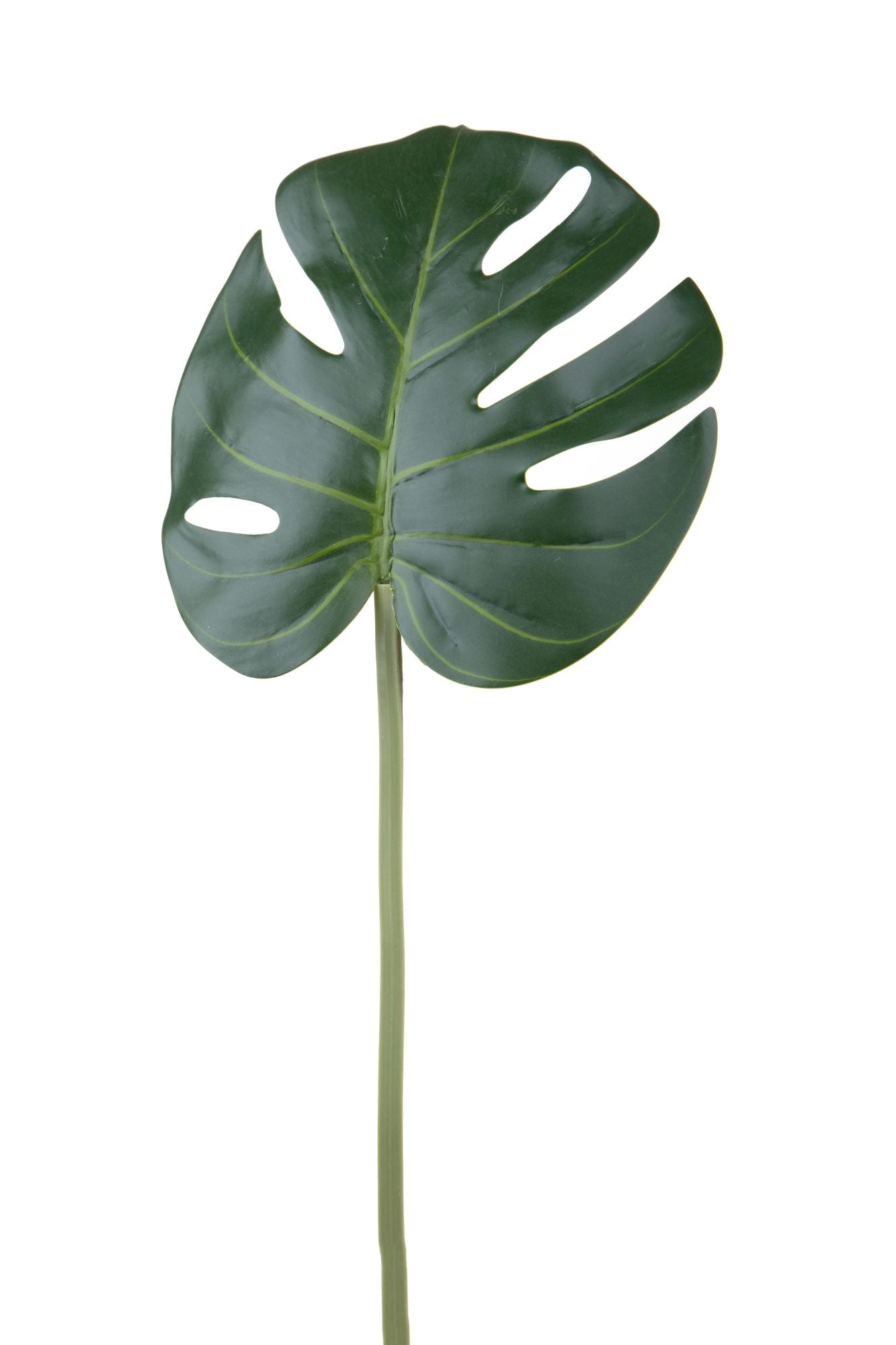 Set 12 Foglia Artificiali Monstera 55 cm...