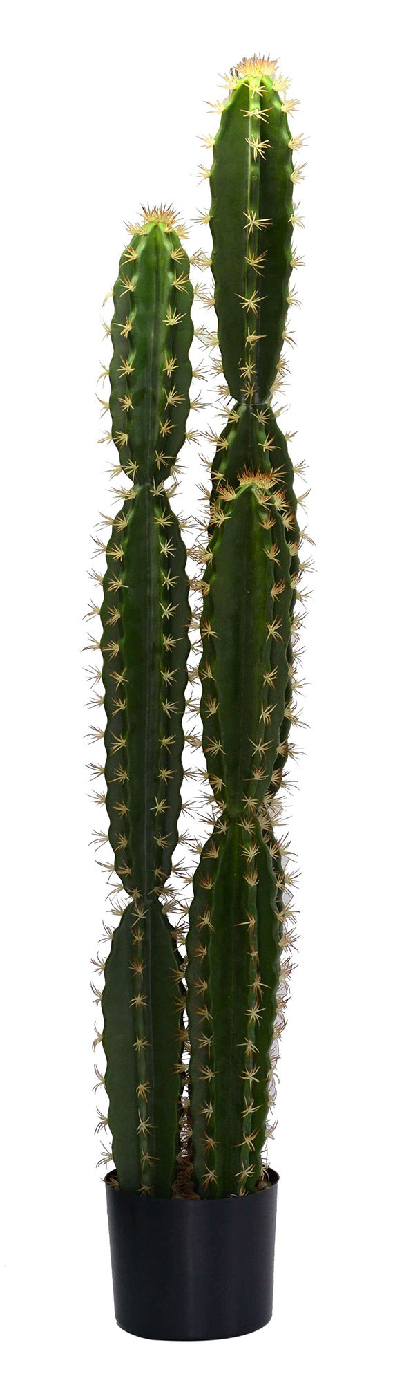 Pianta cactus Artificiale con vaso tondo cm Ø18xh124