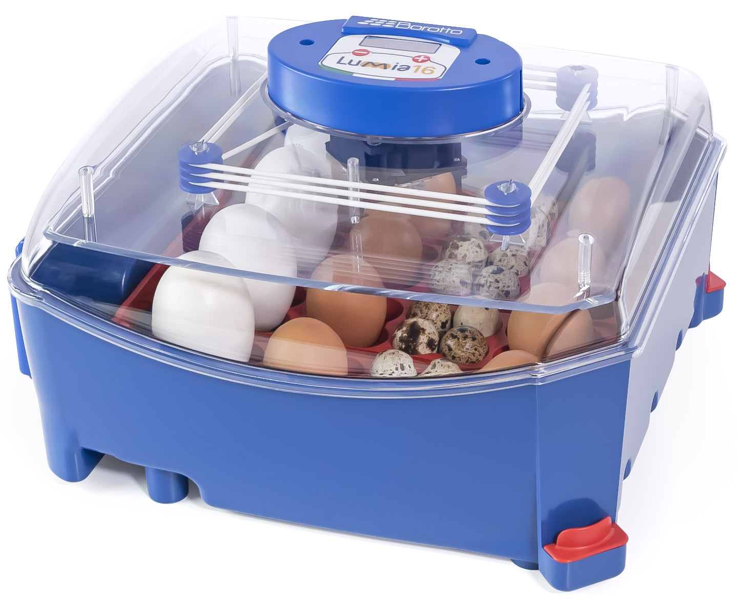 Incubatrice per Uova e Umidificatore Automatico Borotto Lumia 16 Expert...