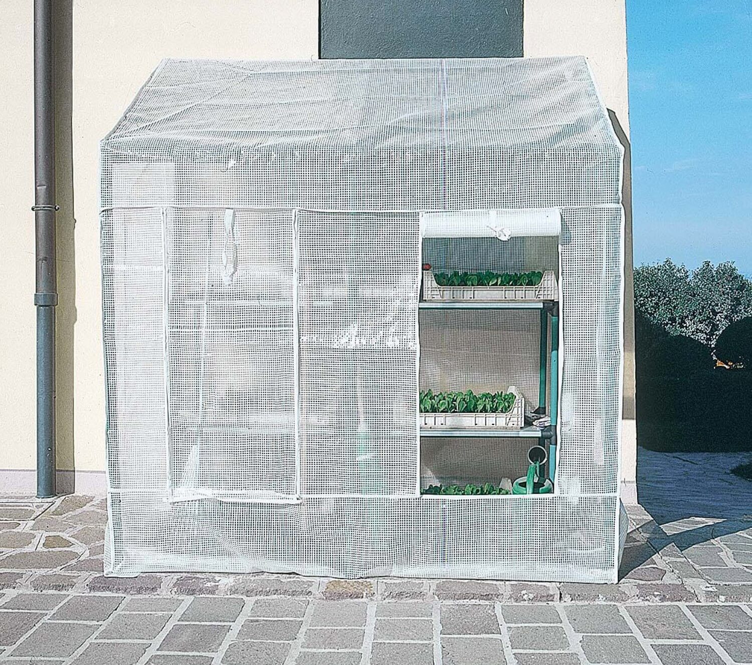 Serra da Giardino a Parete in PVC con Telo Rama Lobelia Verde...