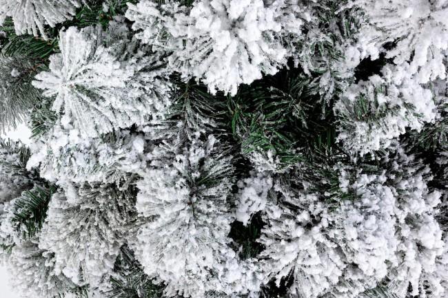 Albero di Natale Artificiale Innevato 180 cm 574 Rami Verde...