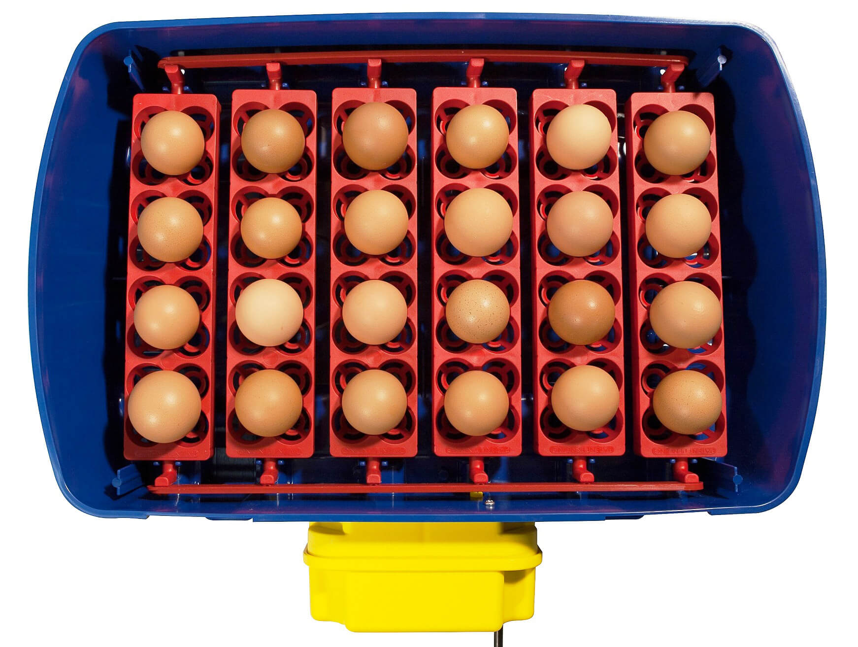 Incubatrice per Uova e Umidificatore Automatico Borotto Real 24 Expert...