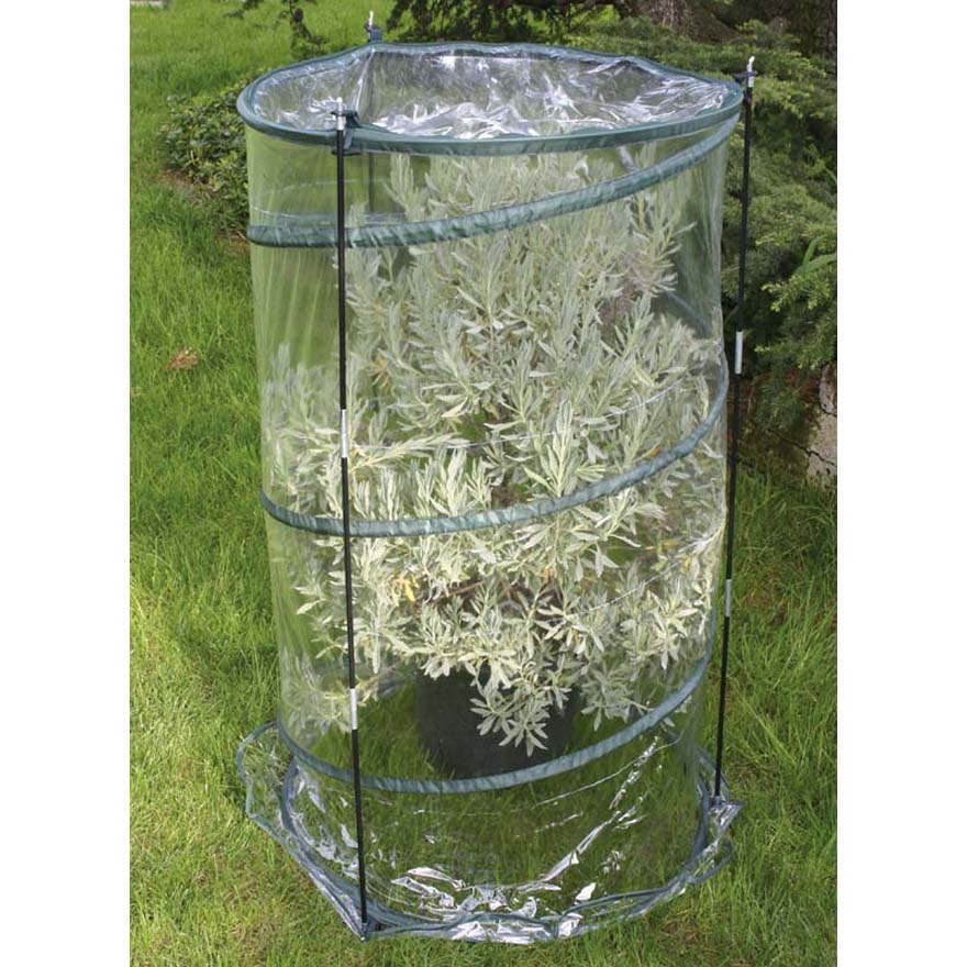 Serra da Giardino con Sistema Pop-Up Ø70cm Rama Anthurium Verde...