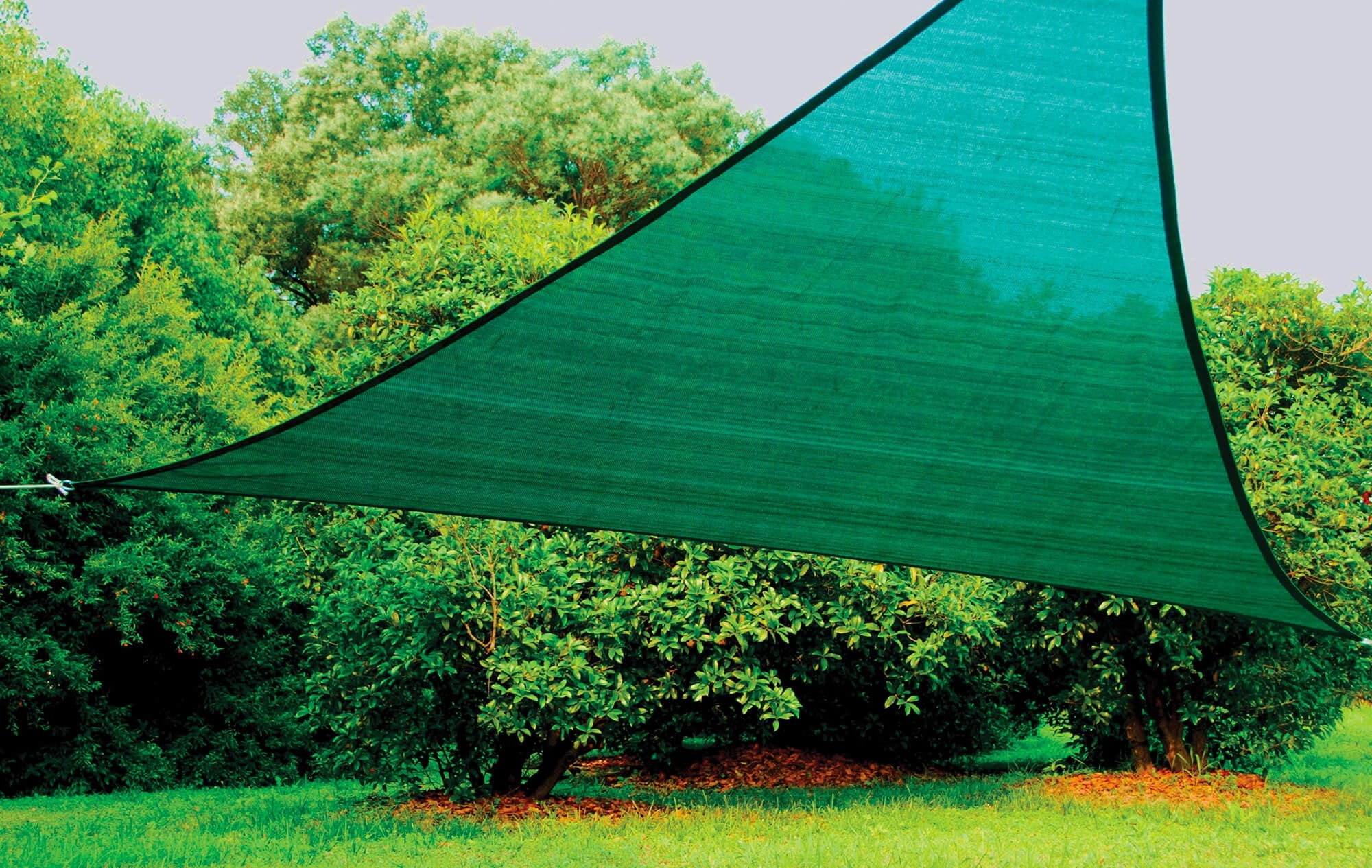 Tenda a Vela Ombreggiante Triangolare 500x500x500 cm in Polietilene Bauer Verde...