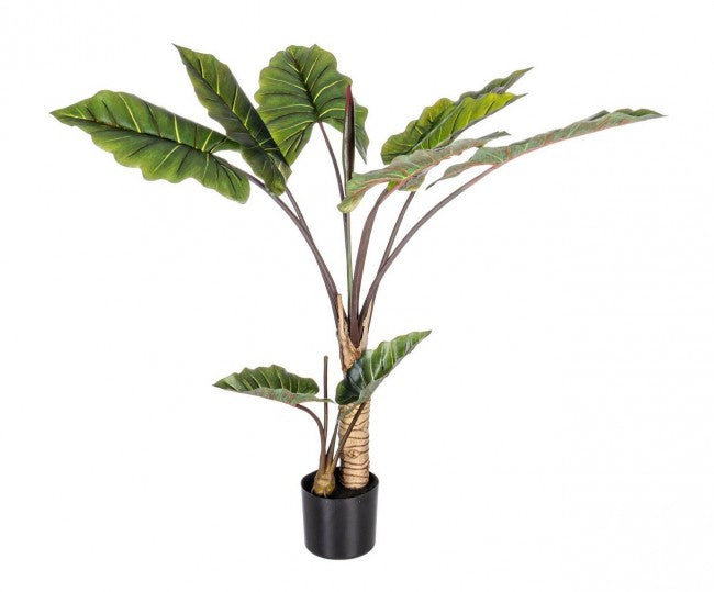 Set 2 Piante Artificiali Dieffenbachia Ø100x134 cm in Plastica con Vasi Verde...