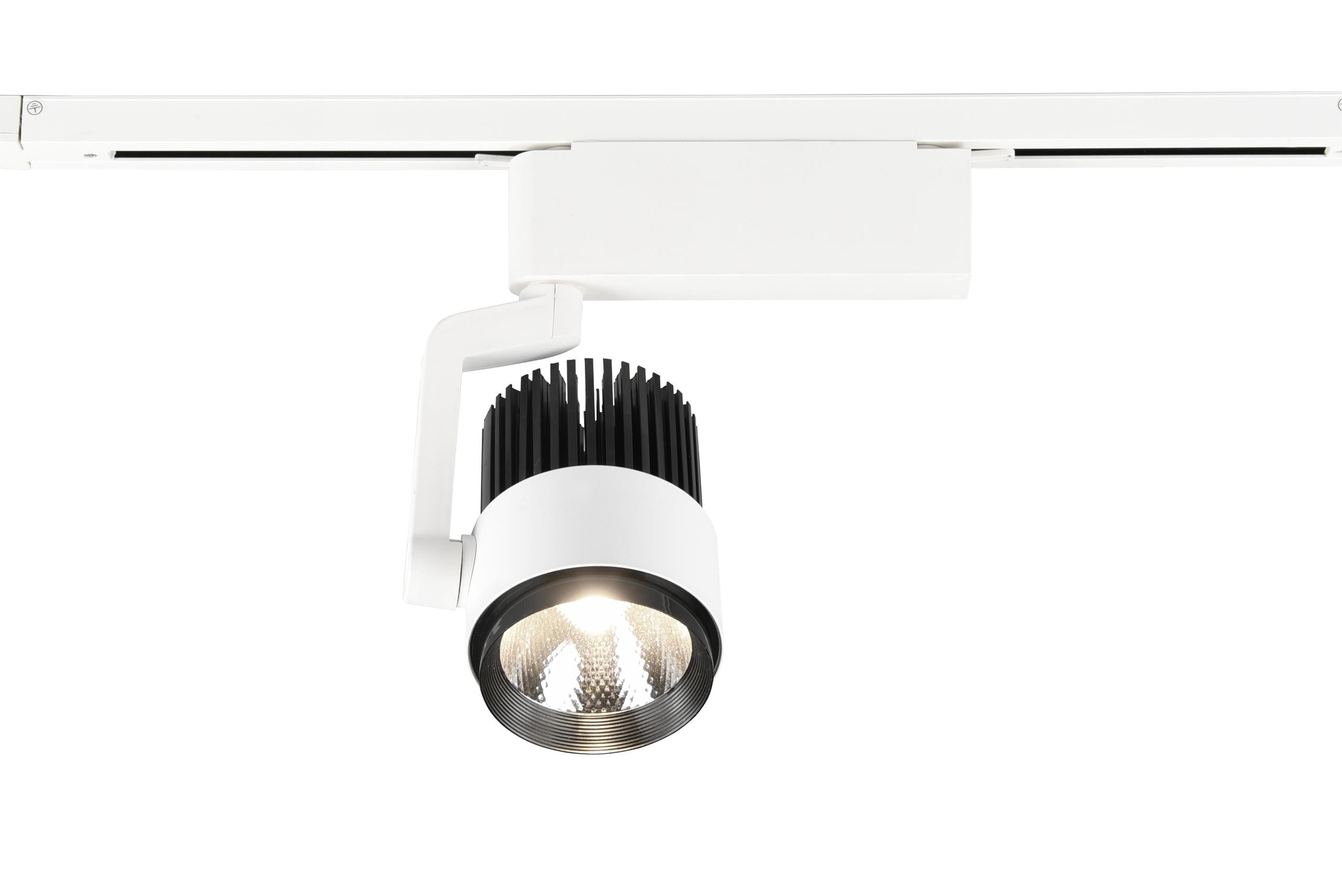 Faretto da Interno a led in Metallo Bianco Opaco...
