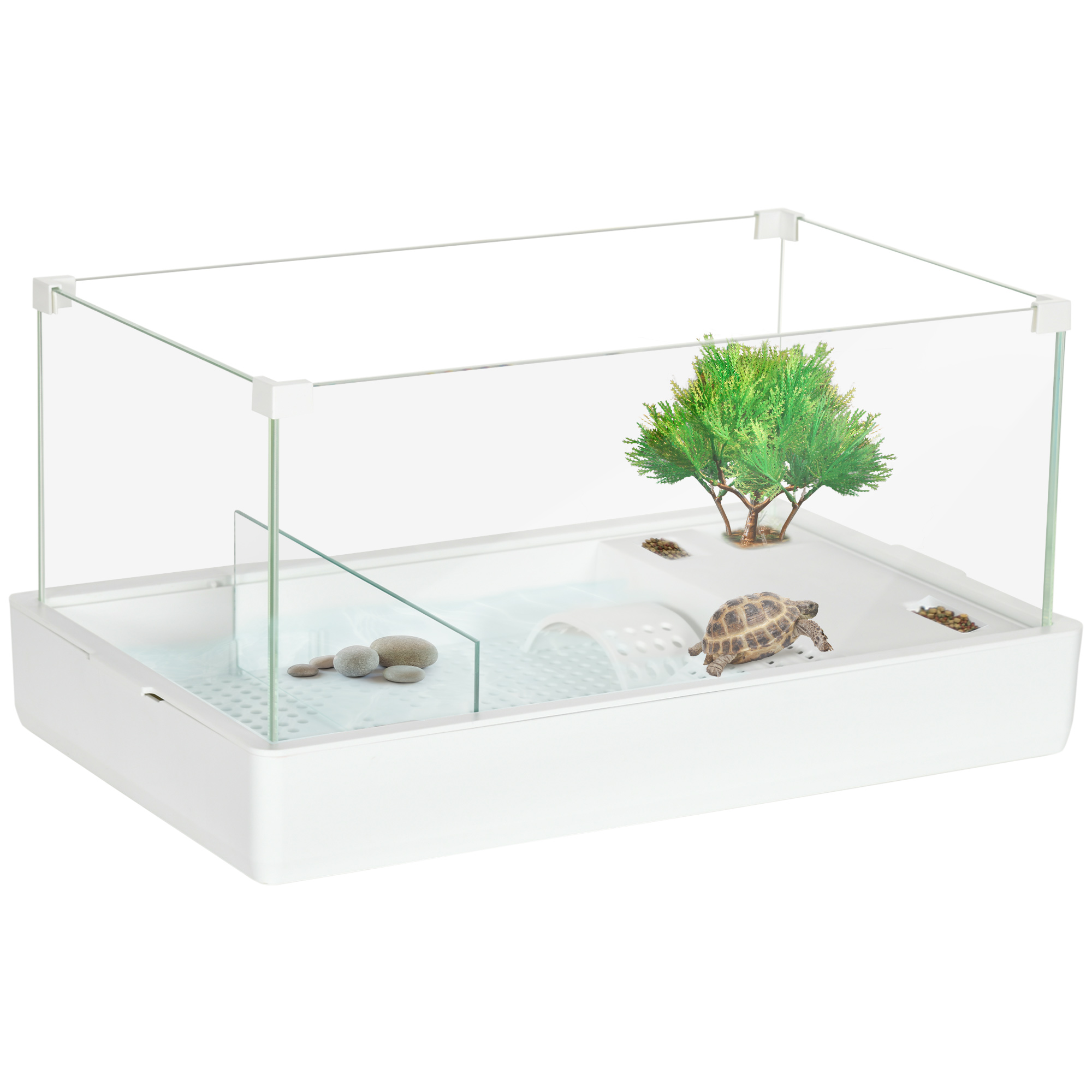 Piscina Per Tartarughe 30x30x5.5cm - Vassoio Antiscivolo Con Scala | Per Rettili E Animali Domestici