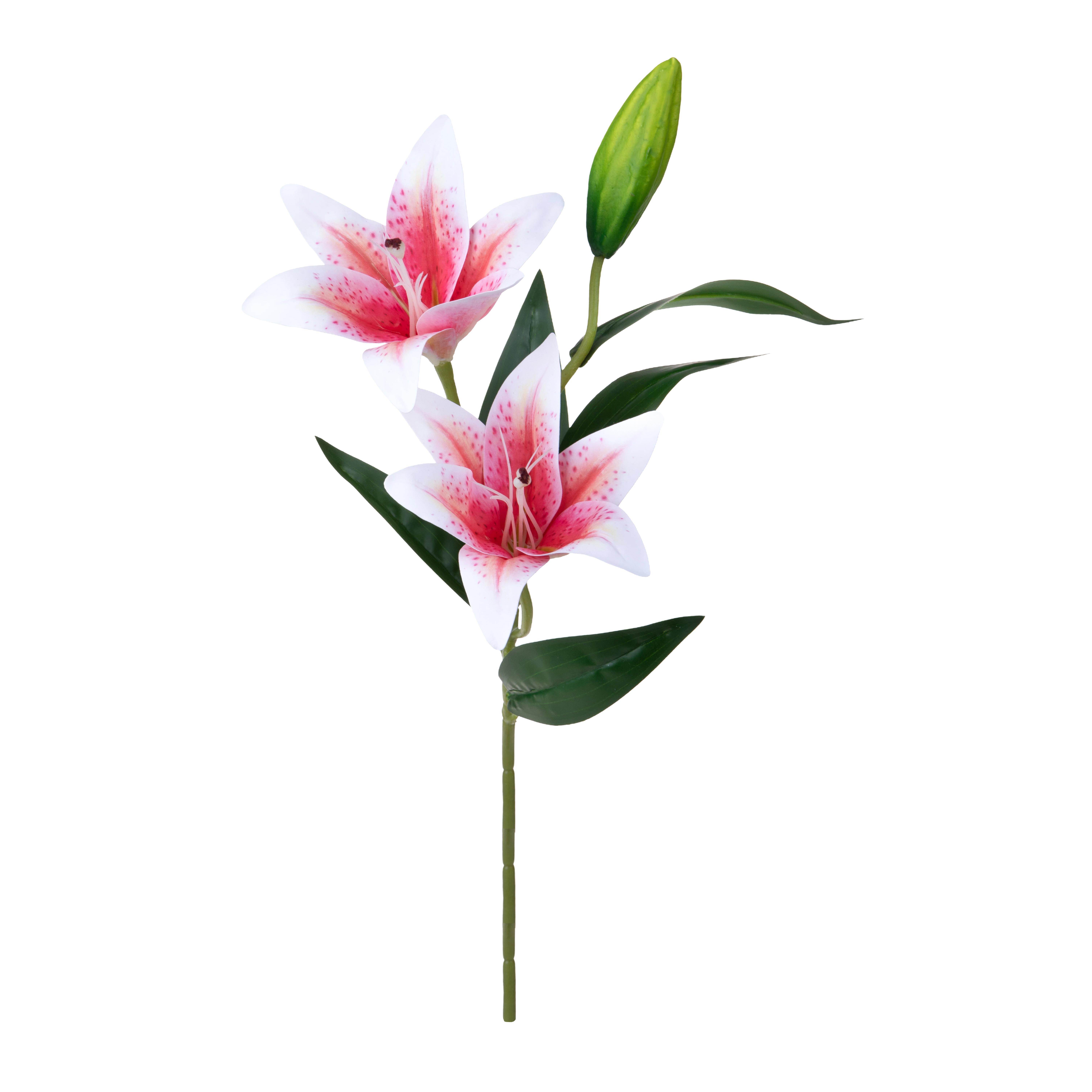 Set 6 Rami Artificiali Lilium x2 66 cm