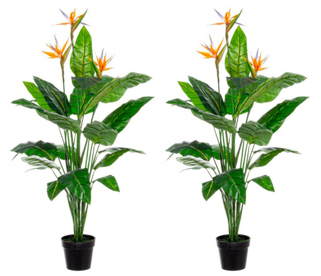 Set 2 Piante Artificiali Strelitzia 70x70x150 cm in Plastica con Vasi Verde